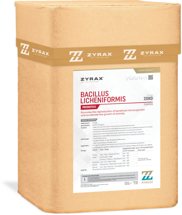 Bacillus Licheniformis