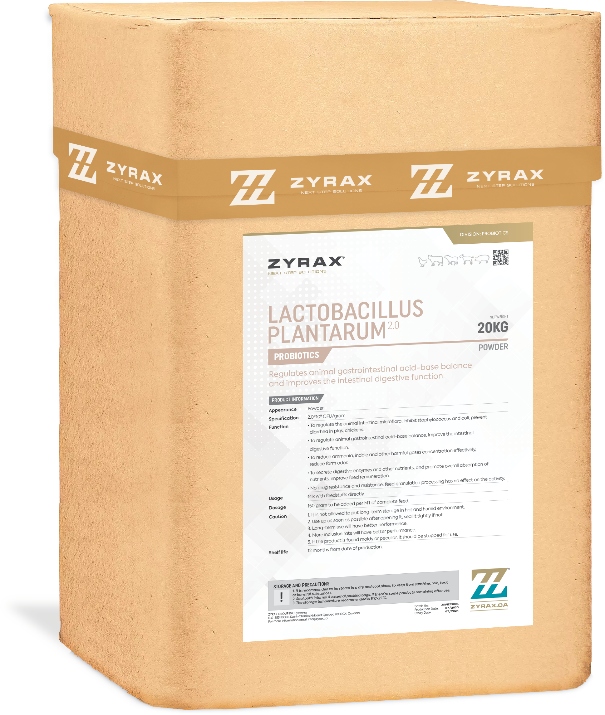 Lactobacillus Plantarum